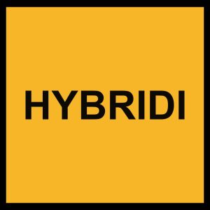 HYBRIDI, VARO TAIDEJARGONIA! project by Kalle Lampela
