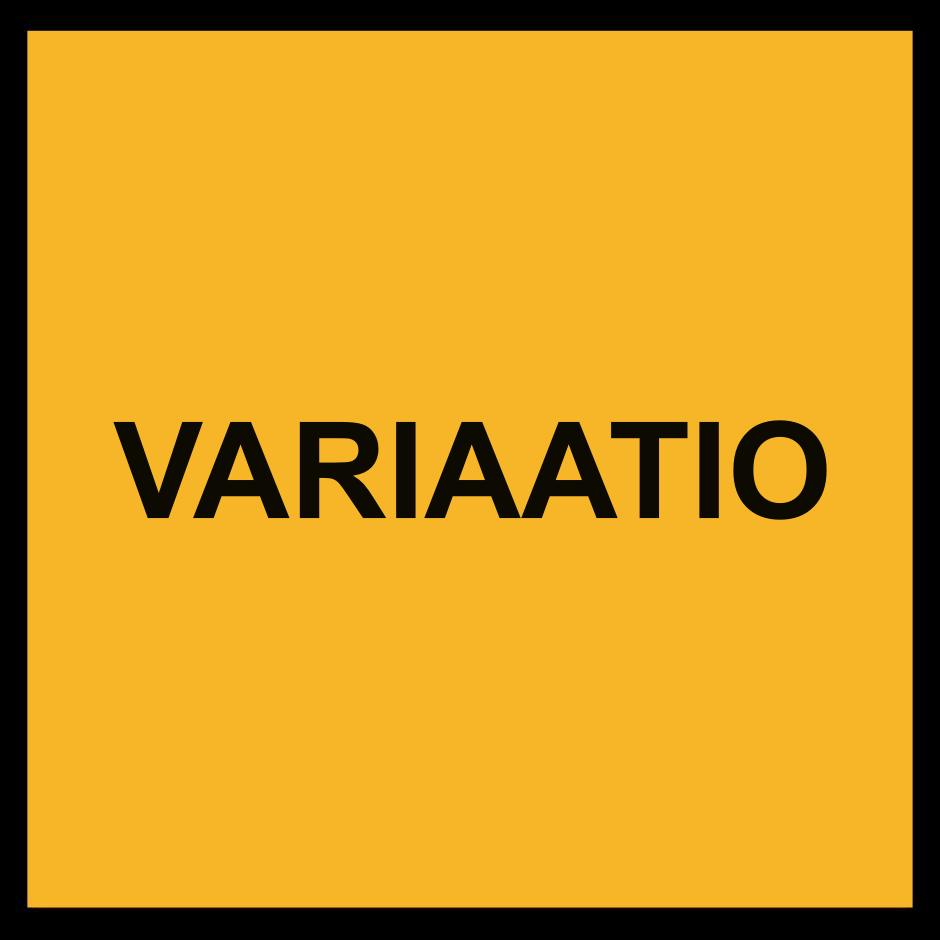 VARIAATIO, VARO TAIDEJARGONIA! project by Kalle Lampela